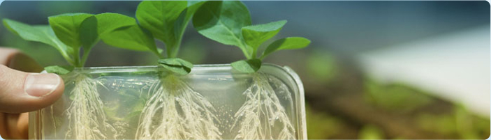 Forschungsaufenthalt